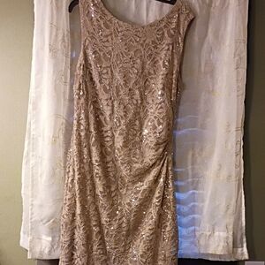 R&M Richards Beige Lace Sequin Midi Dress